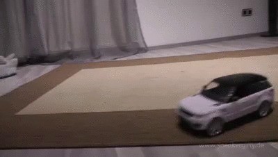 Sneakergirly – Stacy Rc Car Vs Black Socks